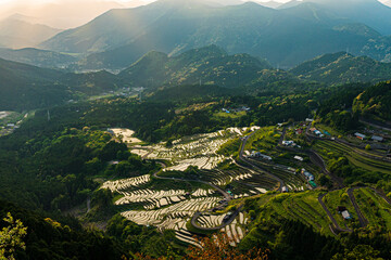 三重【丸山千枚田の夕景】