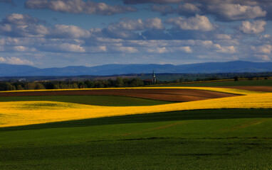 Obraz premium widok na góry stołowe z polami rzepaku i kościołem w tle
