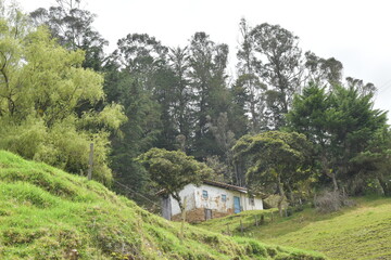 casa antigua en el campo entre arboles naturales verdes frondosos con nubes blancas