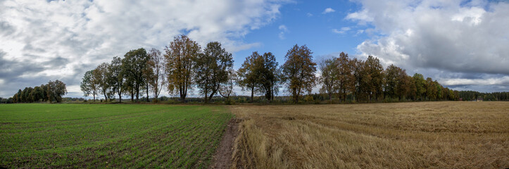 Fototapeta premium Season change