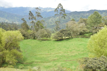 potrero con césped verde en el campo, paisaje natural nubes y montaña 