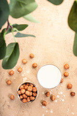 Fototapeta na wymiar Hazelnut nut milk in glass beige table background. Non dairy alternative vegan milk. Healthy vegetarian diet food and drink