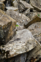 Foto scattata nel paese abbandonato di Connio in Val Borbera (AL).
