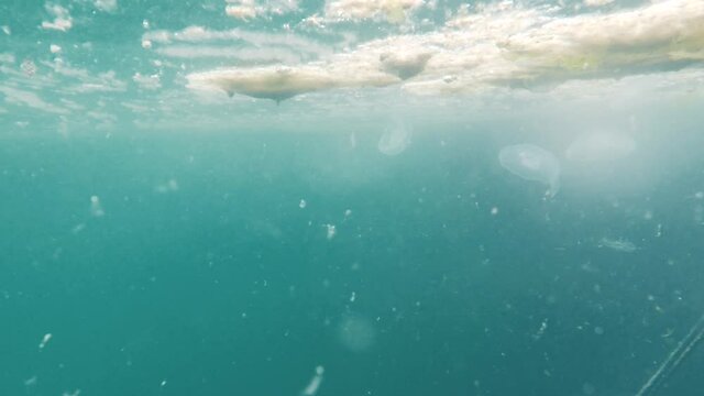 marine mucilage covered sea surface and making danger for marine life