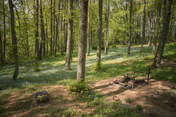 Beautiful view of the green cemetery in forest