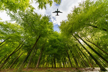 Airplane flying over a lush green woodland, looking up.