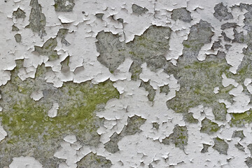 Moldy concrete wall with cracked paint