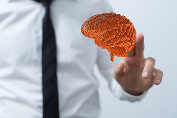 Human brain Anatomical Model 3d