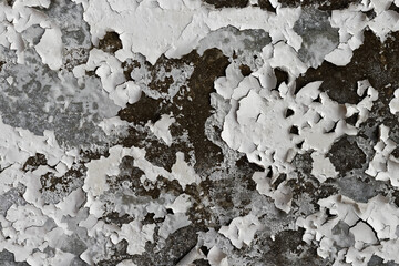 White cracked wallpaper on molded concrete wall