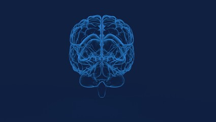 Creative background, the human brain on a blue background, the hemisphere is responsible for logic, and responsible for creativity. of different - obrazy, fototapety, plakaty