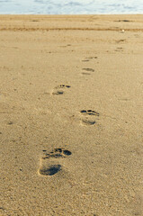 Fototapeta na wymiar Textured sand with human footprint track printed on it.