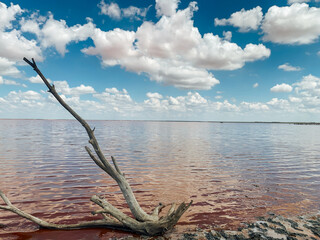 Fototapeta premium beautiful landscape of salt lake with rose water and blue sky