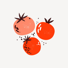 Red and pink tomatoes. Vegetables in flat trendy style. Art composition of a ripe tomato. Healthy food. Design for poster, card, menu, print, advertising farmers market. Hand drawn vector illustration