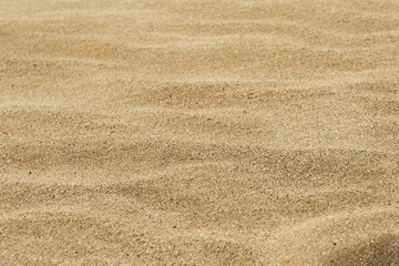 Sand texture. Sandy beach background. Close-up shot.