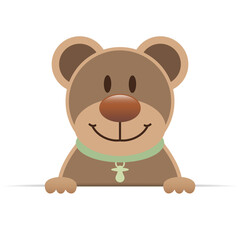 Brauner Teddy Mit Grünem Halsband Schnuller Horizontales Banner