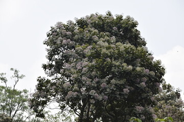 Nature at its best showing its love and beauty 