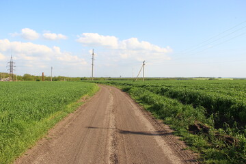 Fototapeta na wymiar Dirt road through agricultural fields against the background of electrical lines