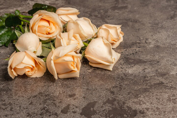 Fresh beige roses on textured stone concrete background