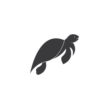 turtle animal cartoon icon image vector