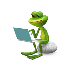 Naklejka premium 3d Illustration of a Frog with a Laptop on a Stone