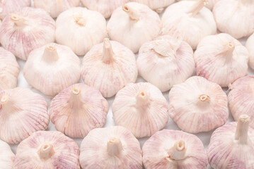 Group of garlic isolated on a white background.