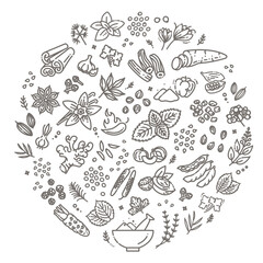 Web icon set - spices, condiments and herbs