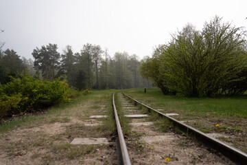 Fototapeta premium narrow-gauge railway where green grass grows along the edges and trees stand in the distance in thick fog