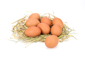 Fresh eggs from organic farms on rice straw Isolated on white background