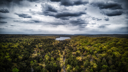 Fototapeta premium Nature