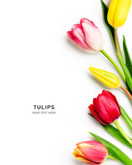 Floral spring border with colorful beautiful tulip flowers. - obrazy, fototapety, plakaty
