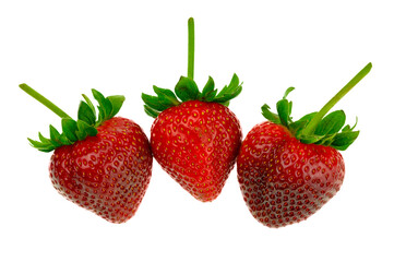 Strawberry trio on white background