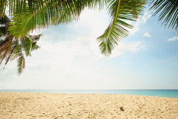 Fototapeta premium Sunny Tropical Beach With Palm Leaves in surin island,Phuket Thailand.