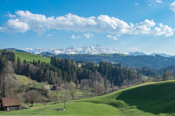 Fototapeta na wymiar View over the hills of Appenzell towards snow-covered mount Saentis, Switzerland