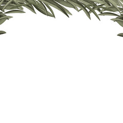 Frame with green leaves. Botanical border  on white background. Hand drawn illustration