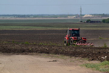 Fototapeta premium spring sowing in the field