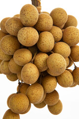 Fruit Kingdom, Taiwan, summer, fruit, Dimocarpus longan