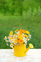 Bright meadow flowers bouquet in yellow watering can. rustic floral composition in garden. summer blossom season. © Ju_see