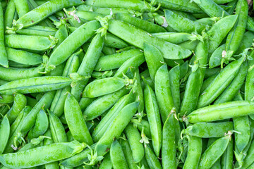 Set of peas of the variety 