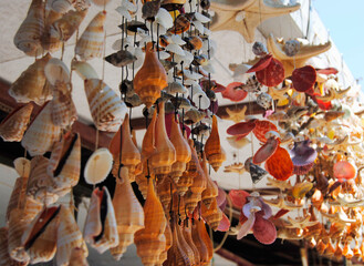 shells in the market beach summer sunny orange