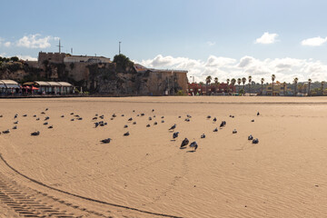 Obraz premium Forte de Santa Catarina, Praia da Rocha beach, Portimão, Algarve, Portugal