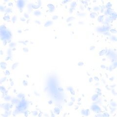 Light blue flower petals falling down. Fabulous ro