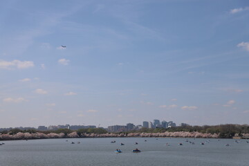 boats in the tidal basin