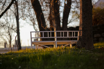 Sunset in the park