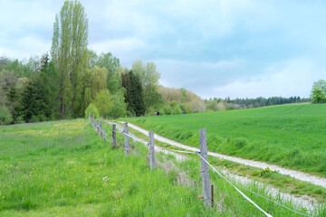 beautiful green nature background, village meadow, fresh spring grass, wood fence, cattle corral, environmental conservation concept, climate change, ecology