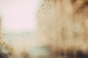 Rain drops on window. Macro shot.