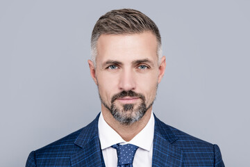 mature businessman portrait with grizzled hair in formal suit, businessman