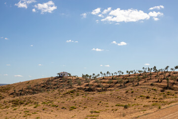 Alentejo landscape, Portugal