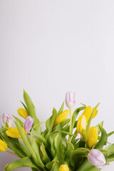 Yellow and pink tulips on on gray background. Copy space