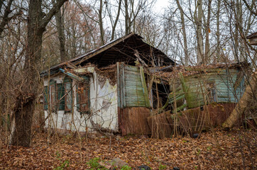 Abandoned houses is surrounded by thickets of trees and shrubs in the Chernobyl exclusion zone, Ukraine