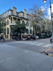 savannah